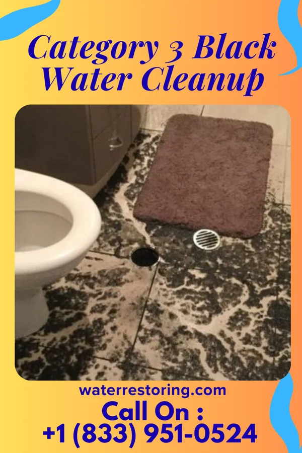 Category 3 Black Water Cleanup in Limon, CO